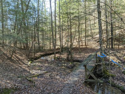 Laurel River Lake View