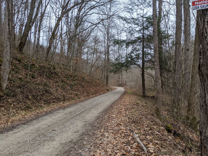 Sheltowee Trace NRT: Section 20