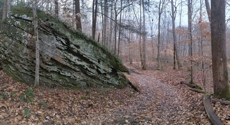 Sheltowee Trace NRT: Section 20