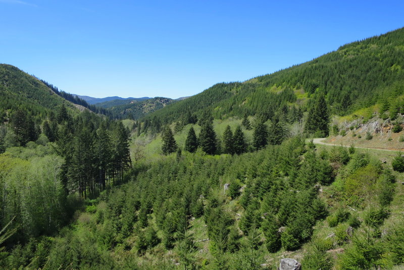 Near the confluence of the Siletz River and Sunshine Creek.