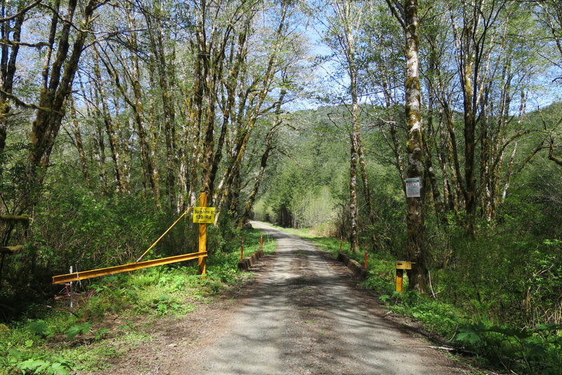 The gate at the intersection of Sunshine Creek Road (managed by Weyerhaeuser) and Sunshine Road (managed by Hancock Forest).