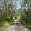 The gate at the intersection of Sunshine Creek Road (managed by Weyerhaeuser) and Sunshine Road (managed by Hancock Forest).