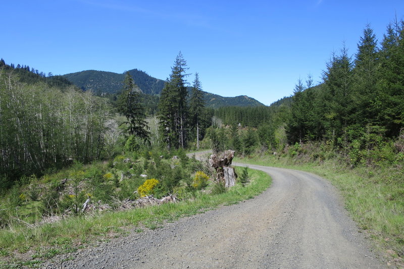 Sunshine Creek Road