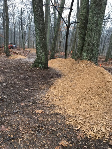 Sweet berms leading into Giddy Up jump line and Drop Zone