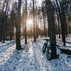 Fat Bike in the cedars