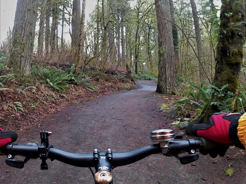 Clockwise on the upper section of the loop. The trail is crushed volcanic material that does not get muddy.