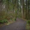 More of the upper section of the loop trail at the Lewisville Park. Still on volcanic ash and cinder.