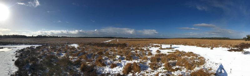 Route Rheden Heide view