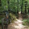 Singletrack shot