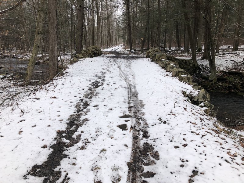 One of the bridges on this trail.