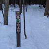 Looking north in winter on Sun Run Trail, heading clockwise on the loop.