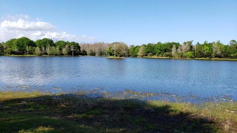 Cow Pen Lake