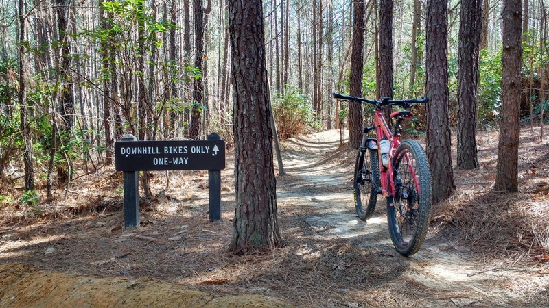 Entrance to DH flow trail. Sign should say, 'Downhill, Bikes Only".