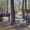 Entrance to DH flow trail. Sign should say, 'Downhill, Bikes Only".