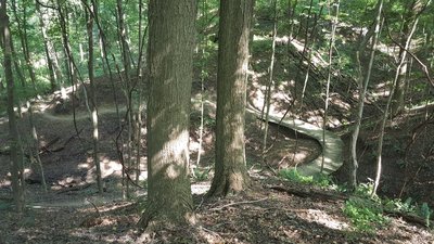 Hampton Hills Tour Mountain Bike Trail, Cuyahoga Falls, Ohio