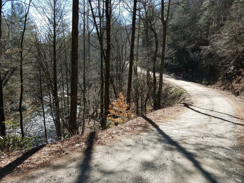 Cooper Creek Road with Cooper Creek