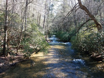Bryant Creek