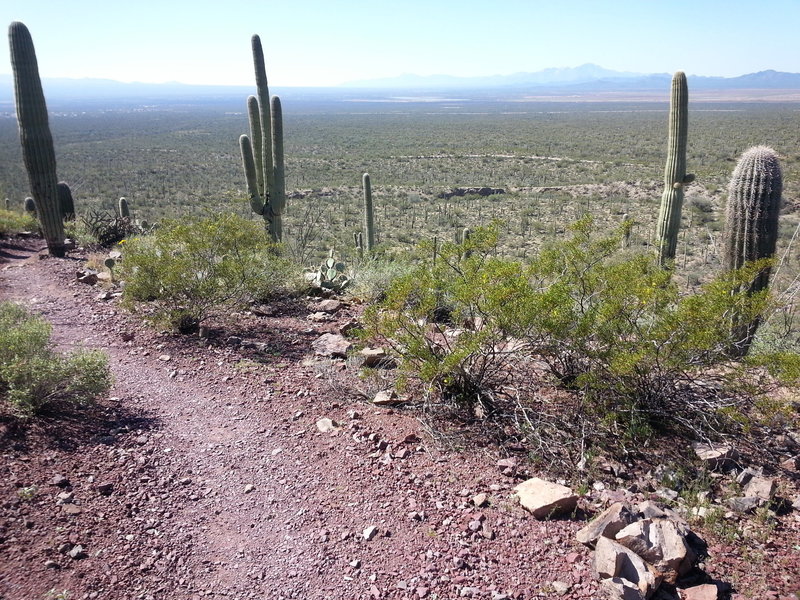 View from Brown Mountain top, way up there.