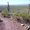 View from Brown Mountain top, way up there.