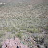 Along the ridge of Brown Mountain, it's a long way down. That's the bike shadow on the bottom.