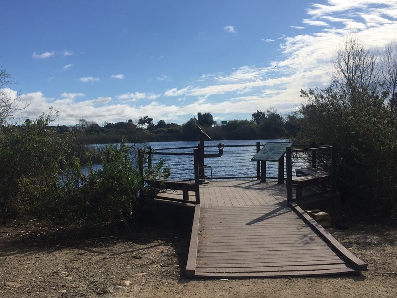 Looking south from trail at Hollister Pond viewpoint/fishing area.