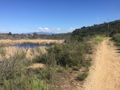 Looking east over a small pond.