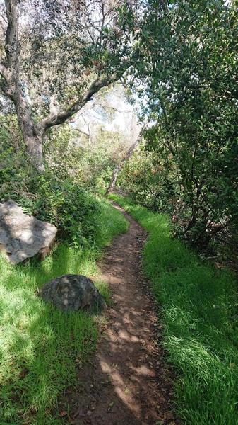 Oak Riparian Trail