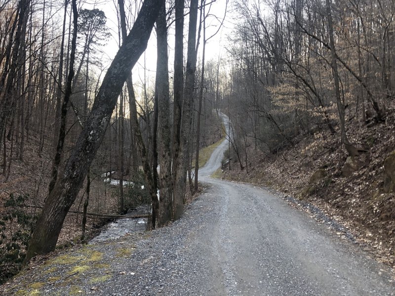 Early section along Cane Creek.