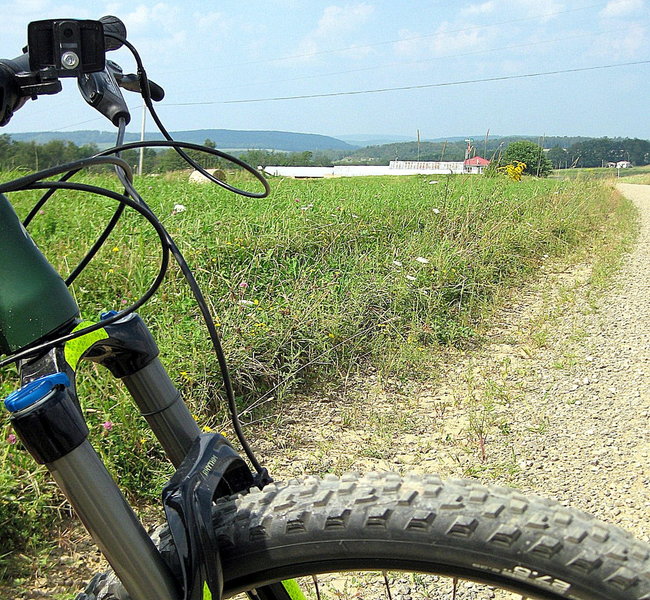 View looking N/NE from top of hill of Triple Continental Divide, Potter County, PA