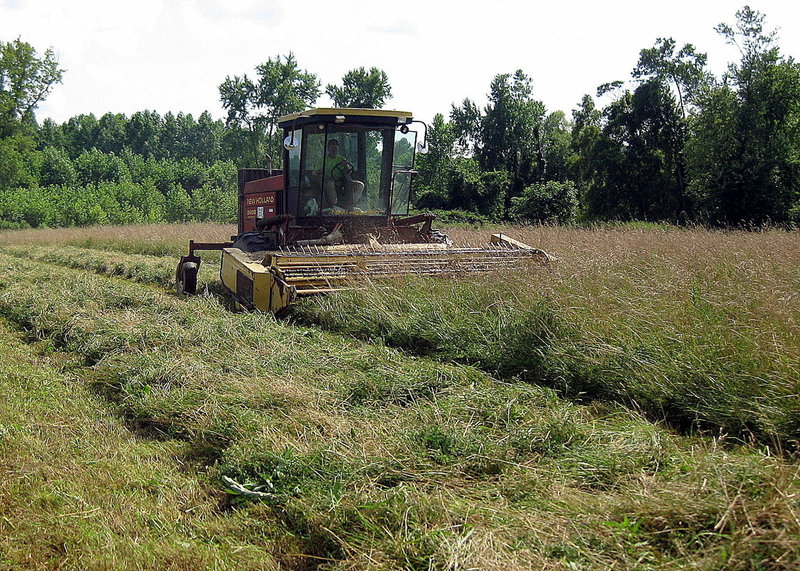 Farmer mowing hay in Genesee River Valley near Angelica, NY