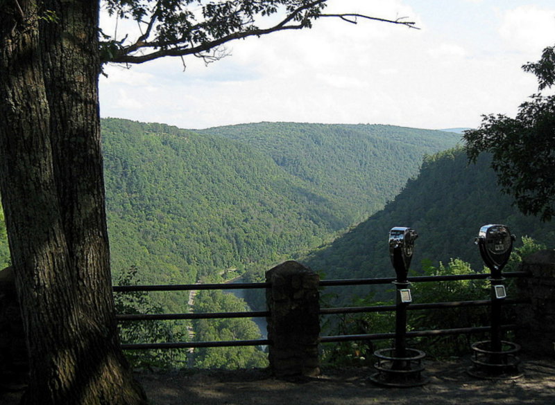 View from scenic overlook in Colton Point State Park, PA, looking at Pine Creek Trail at bottom of Pine Creek Gorge