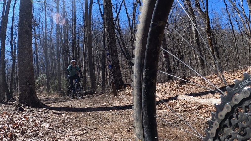 Turning from Bracken Mountain Trail onto Pinnacle Trail