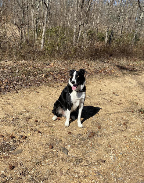 Trevor taking a break on trail.