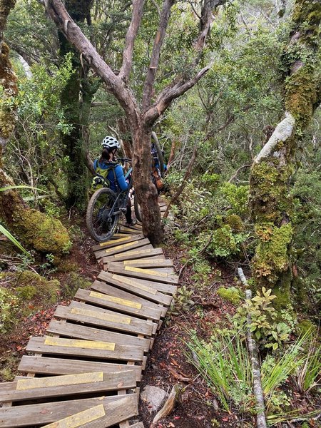 Carrying a bike down the steps can be tricky.