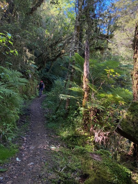 Approaching Solemn Saddle