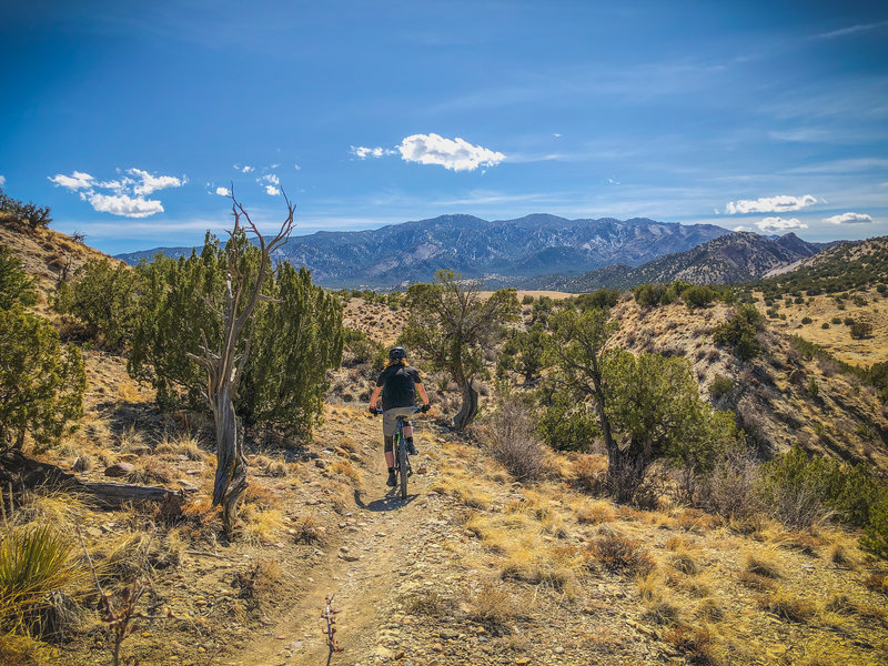 backsides and springtime sun on Schepp Ridge