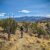 backsides and springtime sun on Schepp Ridge