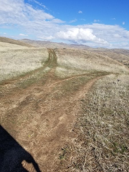 Ridge top fork in road.  Left to Rocky Canyon, right back to Avimor by Rodeo grounds.