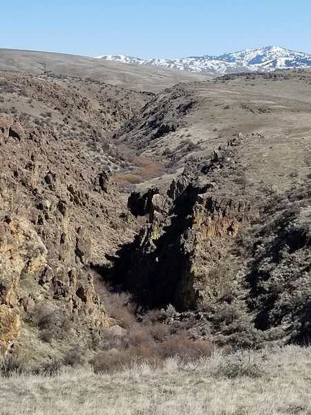 Looking north up Willow Creek.