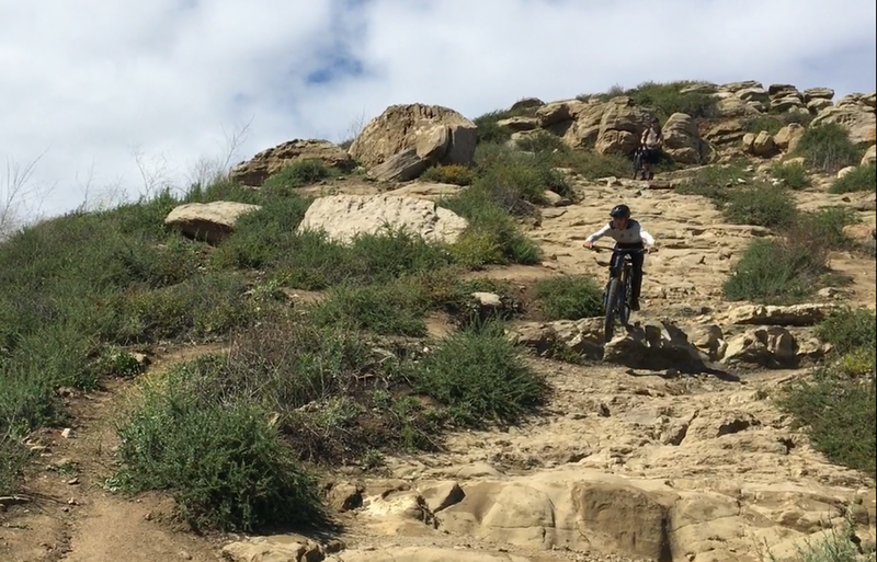 Steep rock garden on the south end of Suicide Hill. Has a 5-7 foot drop at the top, and mellows out as you get closer towards the bottom.