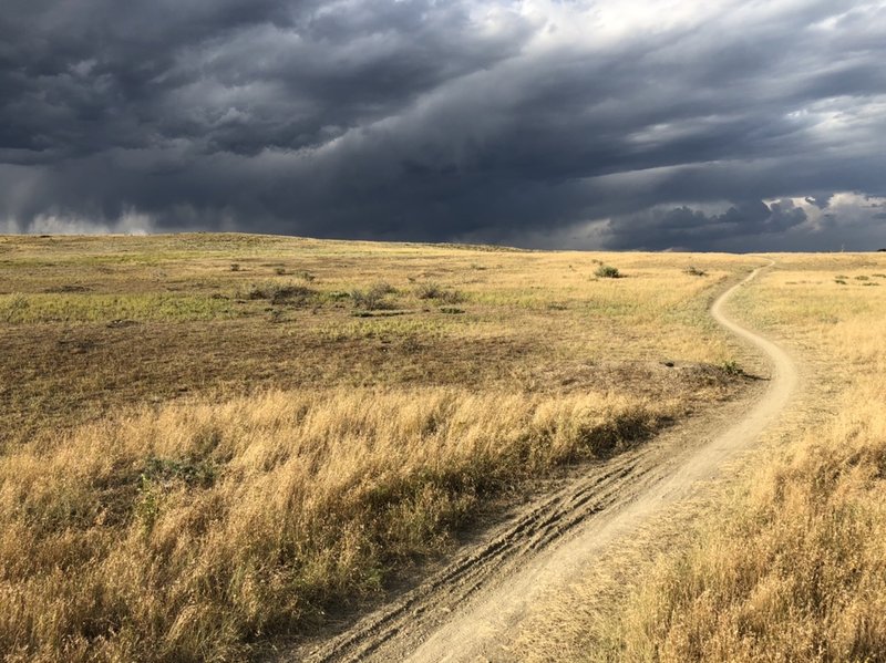 Racing the storm.