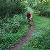 Fast flowing section of singletrack.