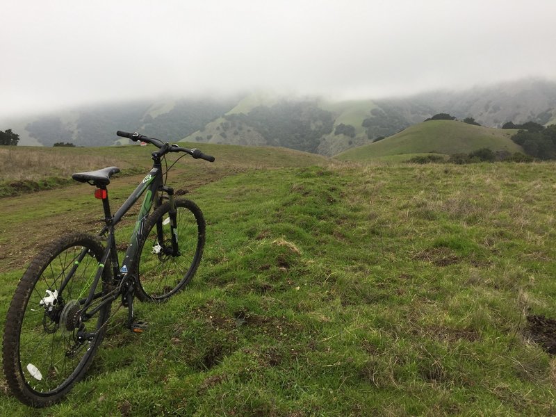 Magical misty afternoon on the Ridge