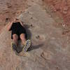 Series of Dinosaur Tracks - Klondike Bluff trail