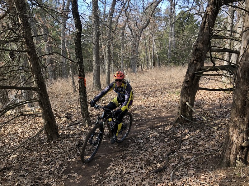 Winding around the cedars on the new trail layout.  It might make you dizzy in there...