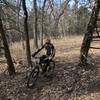 Winding around the cedars on the new trail layout.  It might make you dizzy in there...