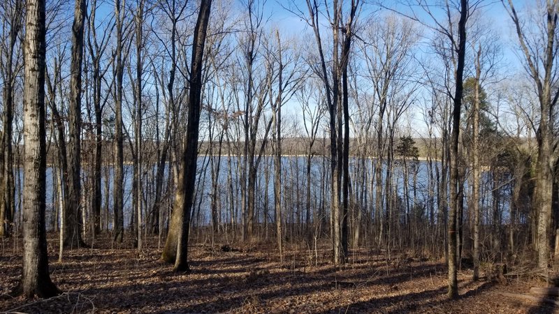 Great view of Percy Priest Lake