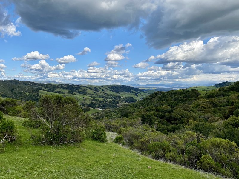 View of the valley half way up the Elderberry Trail.