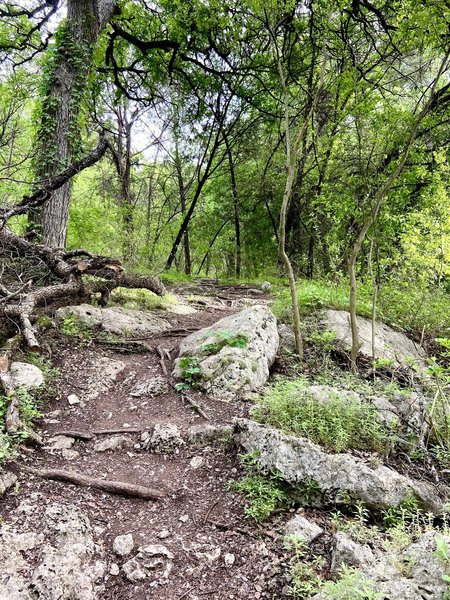 Hamilton Greenbelt Trail