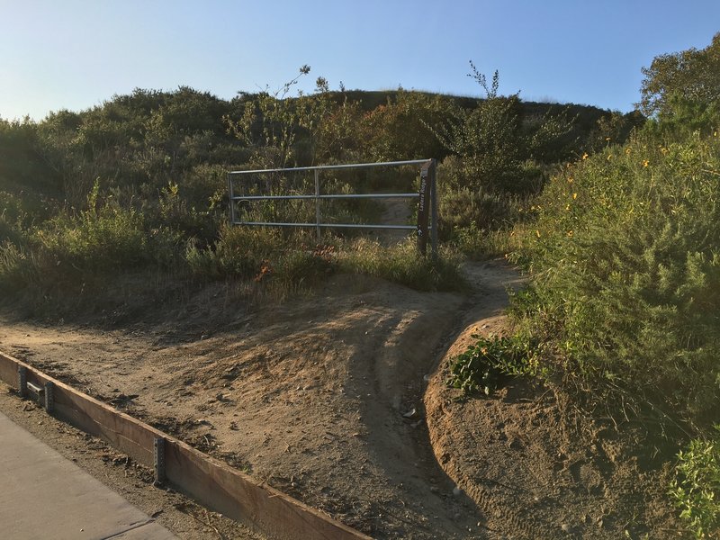 Hidden entrance to the trail